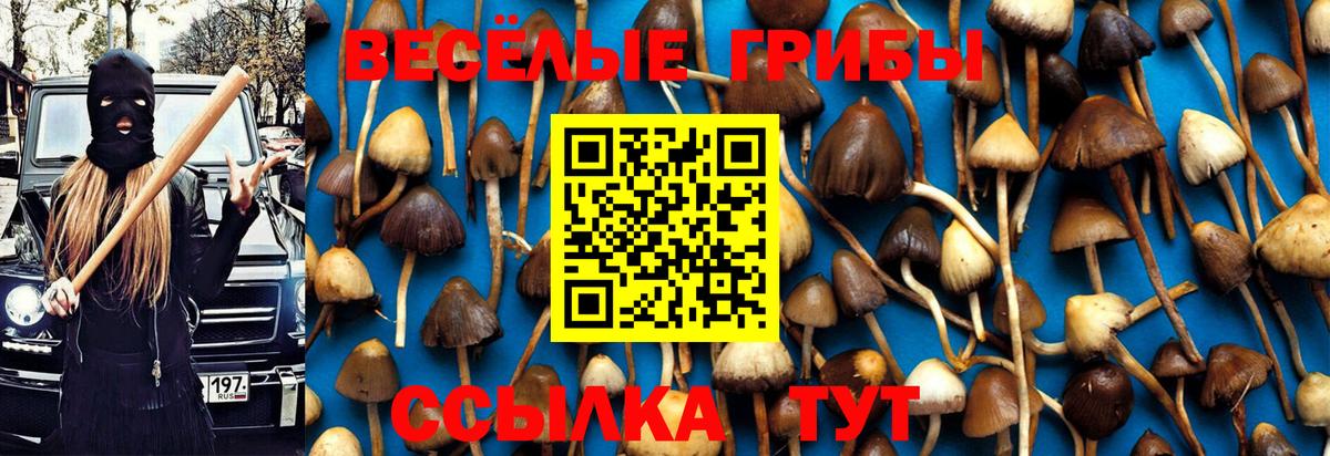 Псилоцибиновые грибы GOLDEN TEACHER Верхняя Салда