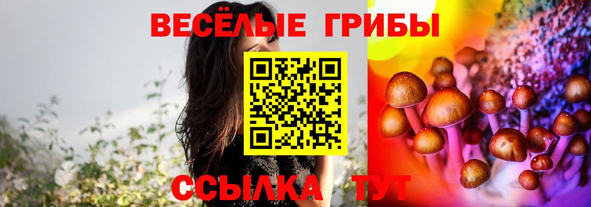 Верхняя Салда  Галлюциногенные грибы GOLDEN TEACHER  Вход с VPN  Галлюциногенные грибы мухоморы 